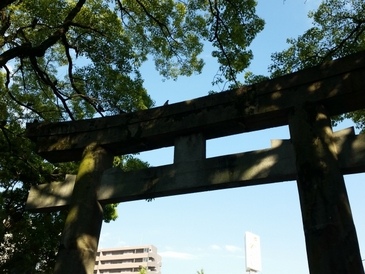 ゆっくりじっくり神様と向き合う「年末詣」のススメ