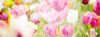 ガイド(守護霊)とは何か?